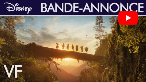 Video Video Lire la vidéo